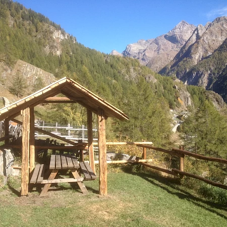 Il Camoscio