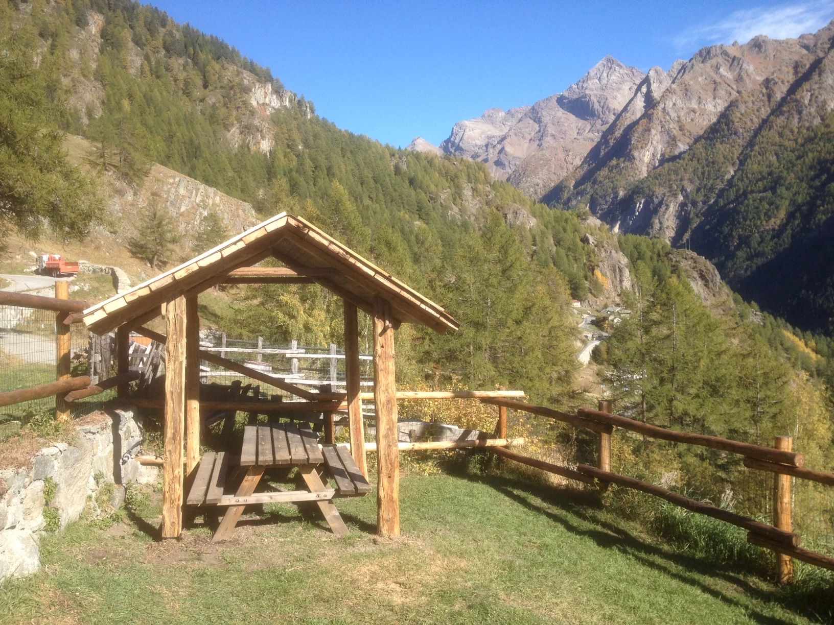 Il Camoscio