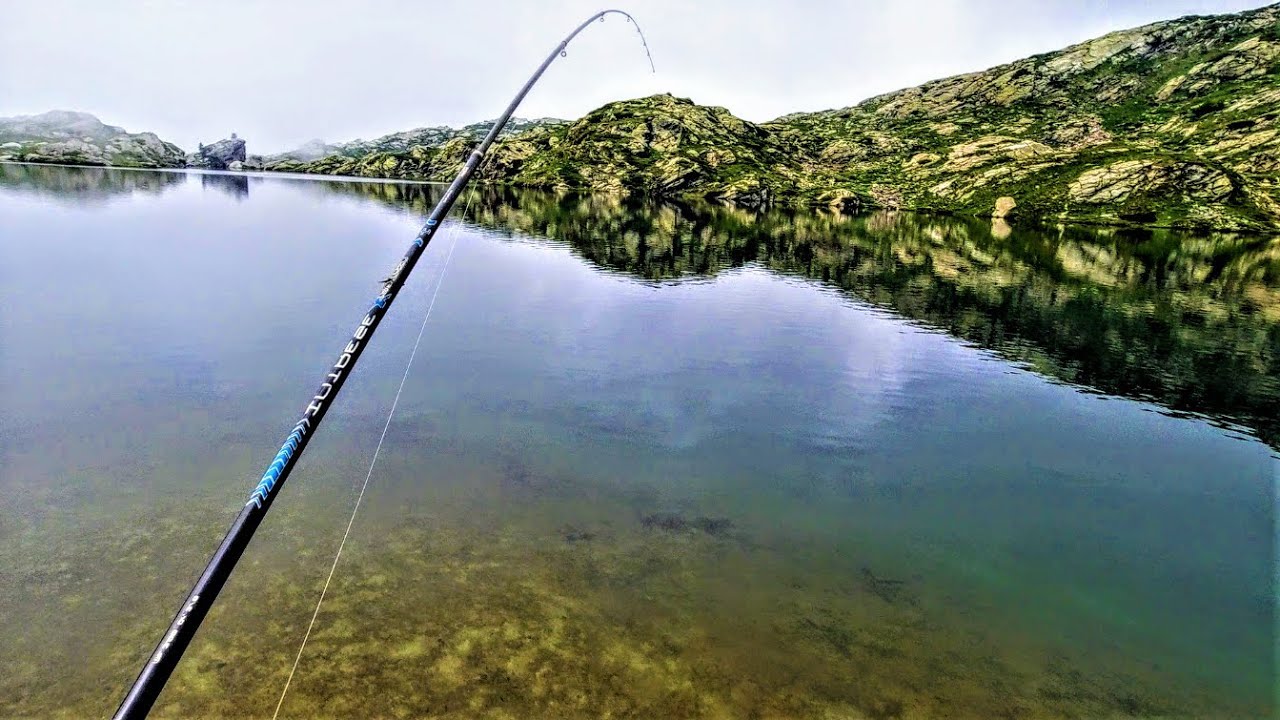 Pesca e funghi